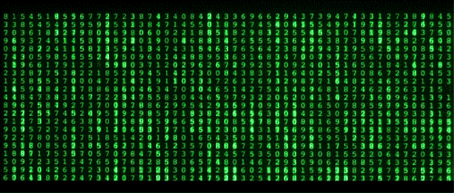 frz7b1bcuc1k.gif