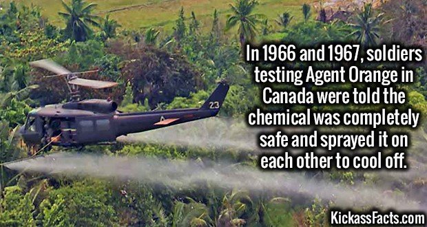 1960-Agent-Orange-Canada.jpg