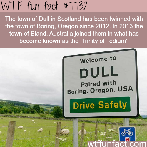tumblr_otifx46oJW1roqv59o1_500.png