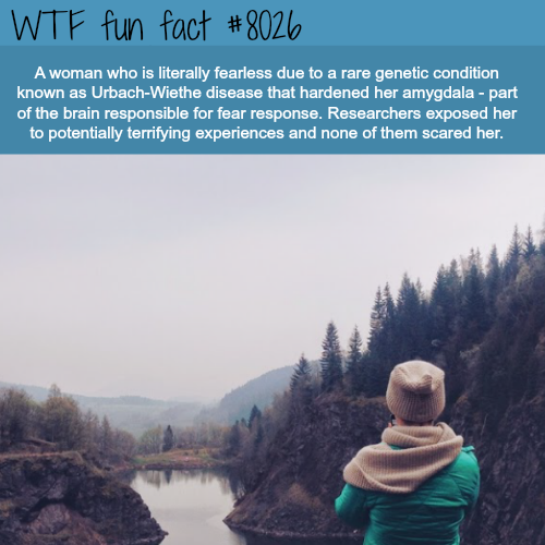 tumblr_oxq5iti8Wz1roqv59o1_500.png