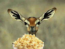 200.gif