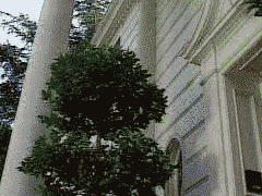 wdqopytmcsivmmpa7eiq.gif