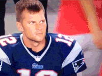 oeb0pjoa8r8s.gif