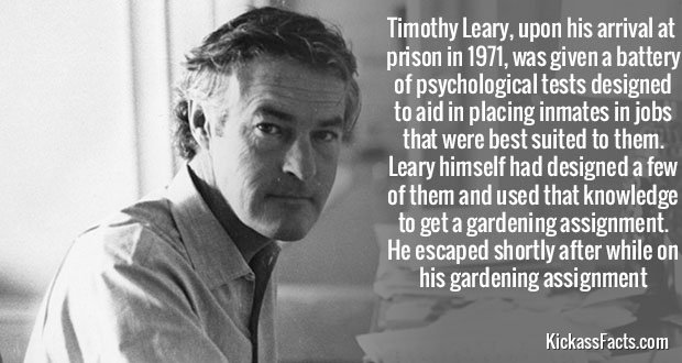 353Timothy-Leary.jpg