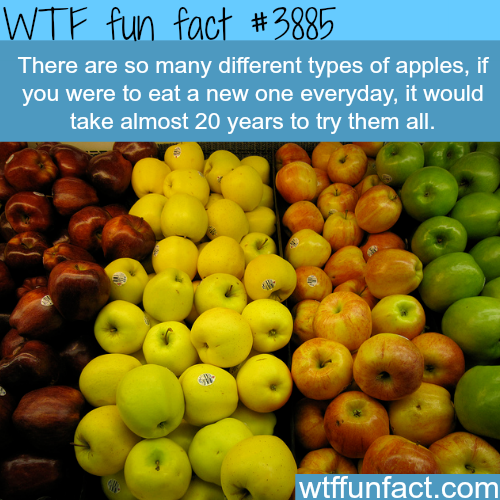 tumblr_nn9ijd60b11roqv59o1_500.png