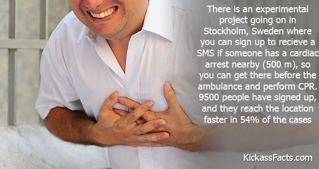 177Heart-Attack.jpg