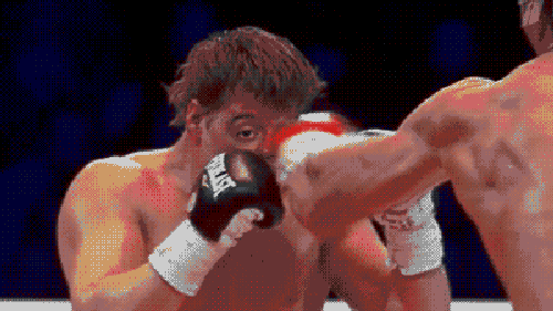 gdpfbnbcvvb3.gif