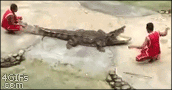 tumblr_mqnak1l3CV1qdlh1io1_400.gif