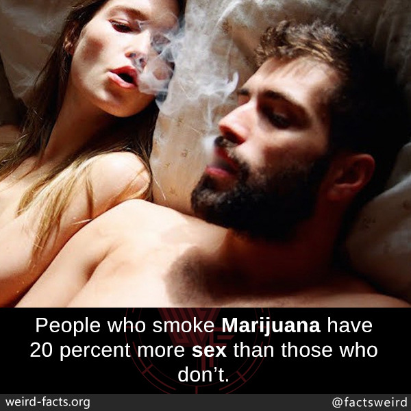 tumblr_oz2a0sHYs01szqwnwo1_1280.jpg