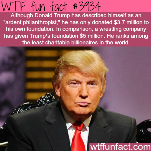 tumblr_nnshd9WiRW1roqv59o1_500.png
