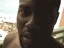 n17ffhonrhaw.gif