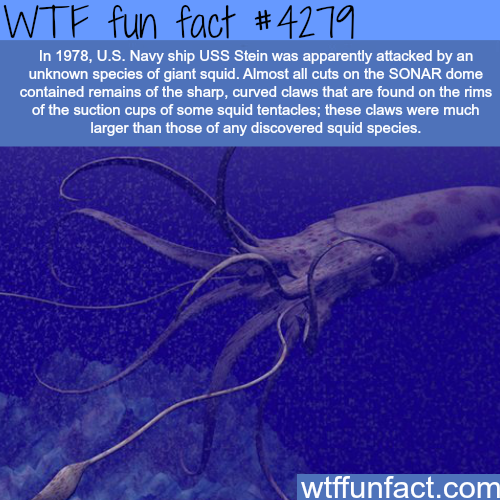 tumblr_nrieqnvWo41roqv59o1_500.png