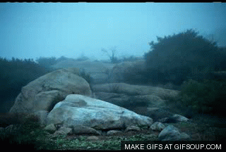 ies1jw5byvrw.gif