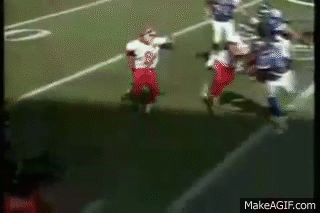 b8gjy7w3f1l4.gif