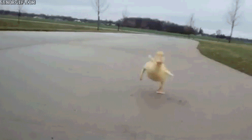 tumblr_m7uc9t4LH11ra9wcdo1_500.gif