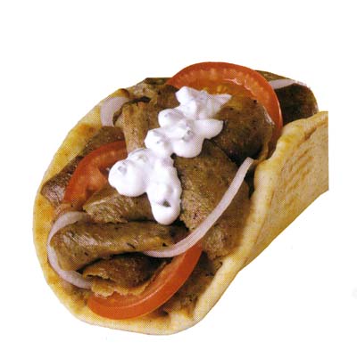 gyro1.jpg