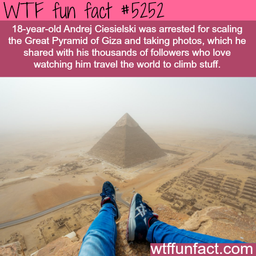 tumblr_o2ie4jSWHG1roqv59o1_500.png