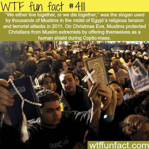 tumblr_npsbw04RQ31roqv59o1_500.png