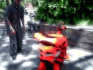 tumblr_lmk8epcfif1qasgrz.gif