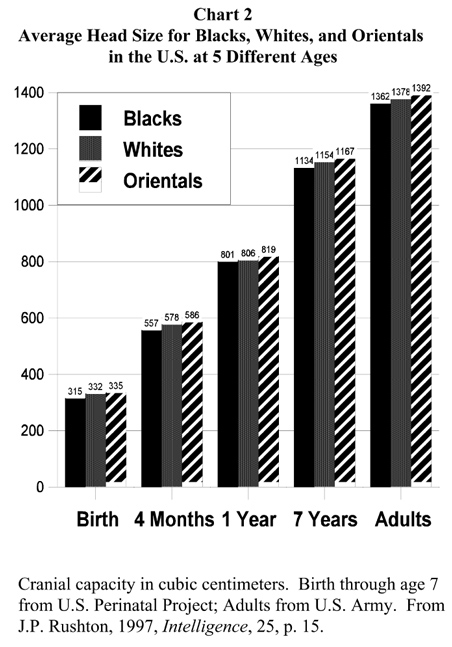 Chart_02.jpg