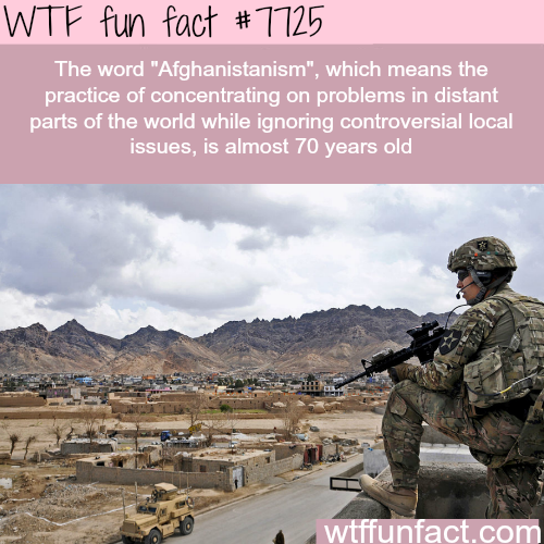 tumblr_otf2p1F06w1roqv59o1_500.png