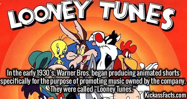 2037-Looney-Tunes.jpg