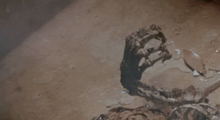 ge2xacjyom5r.gif