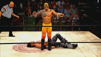 tumblr_neb4tcsfkB1snhdpvo5_400.gif