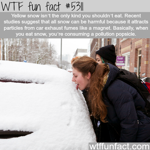 tumblr_o366h6SP3N1roqv59o1_500.png