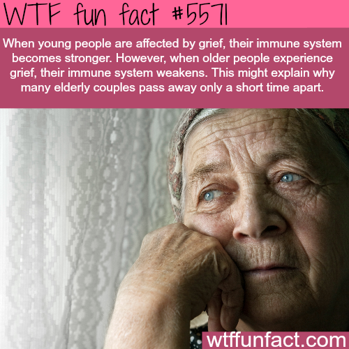 tumblr_o52dstiG6y1roqv59o1_500.png