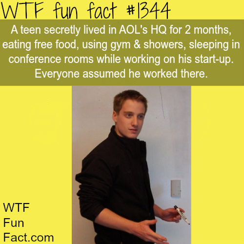 tumblr_ml201m9AaE1roqv59o1_r1_500.png