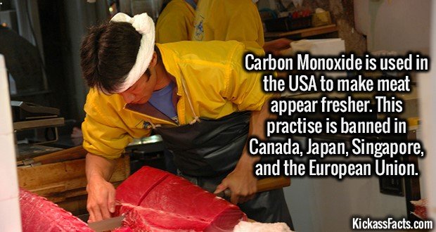 2089-Carbon-Monoxide-Meat.jpg