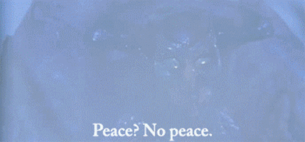 eikfnuftwpdt.gif