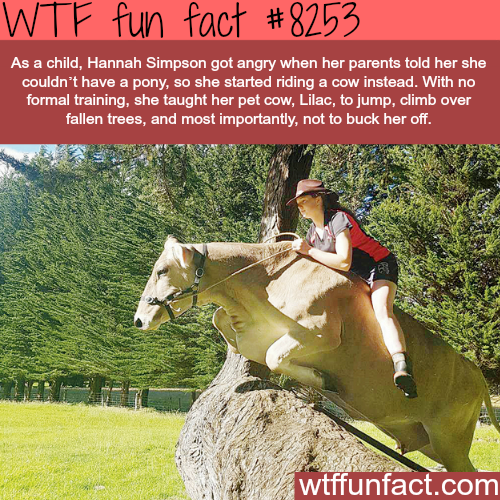 tumblr_p16ml2A85L1roqv59o1_500.png