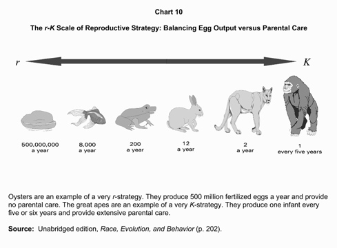 Chart_10.jpg