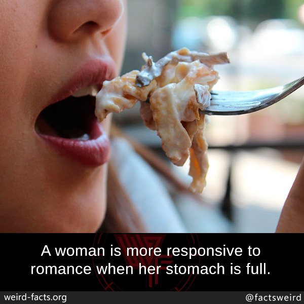 tumblr_oy4rx1akUa1szqwnwo1_1280.jpg