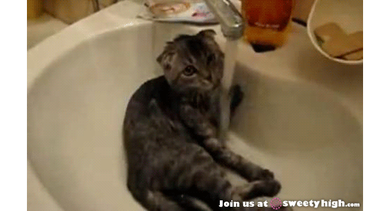 wbmd5b8q8nvr.gif