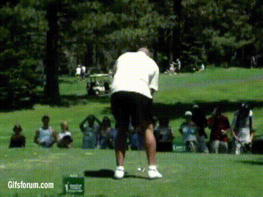 6r79xmjhb8a1.gif
