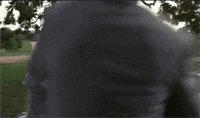 200w.gif