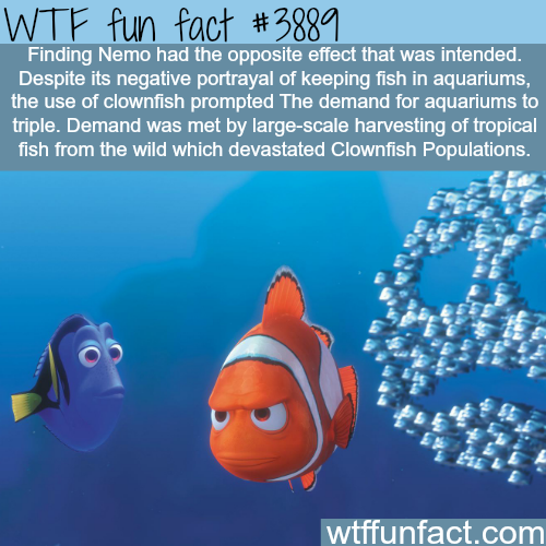 tumblr_nnbw13Kega1roqv59o1_500.png