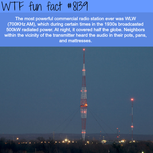 tumblr_ozj1tgOxrb1roqv59o1_500.png