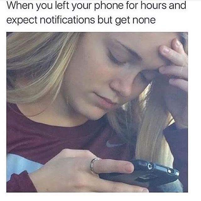 s3vdcif8659q.jpg