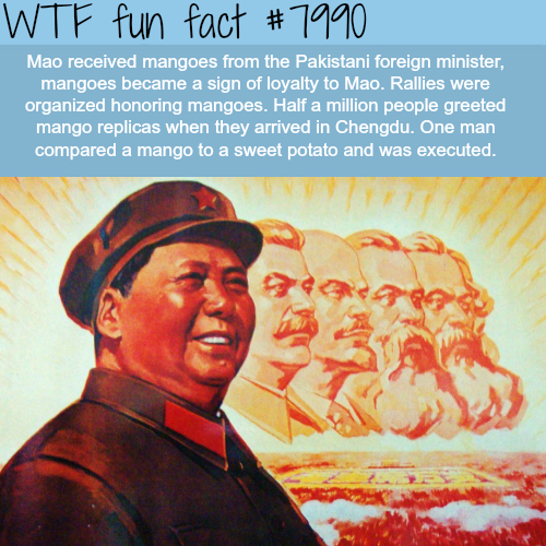 tumblr_ox61v8ANCE1roqv59o1_500.png