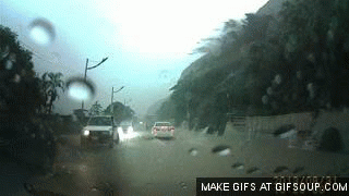 180455.gif