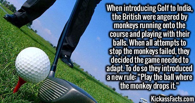 2052-Golfing-in-India.jpg