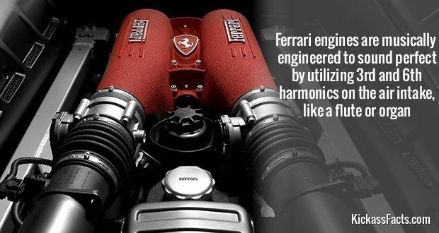 365Ferrari-Engine.jpg