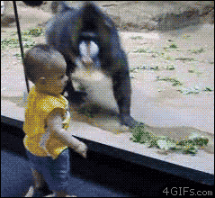tumblr_mcctthbR6t1qjhyjdo1_250.gif