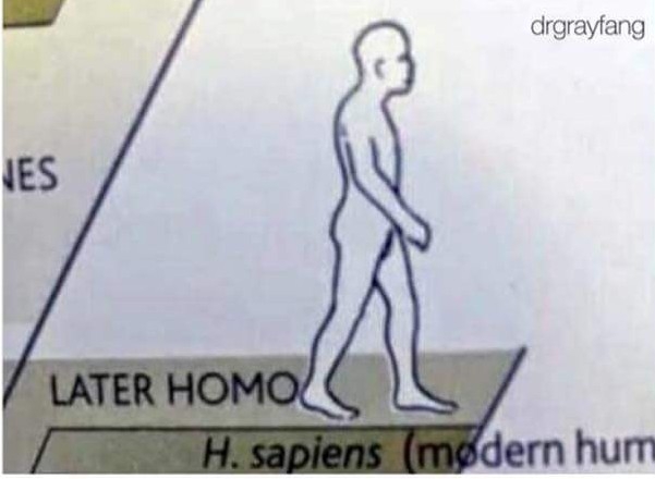 1qdfm4ggkr9s.jpg