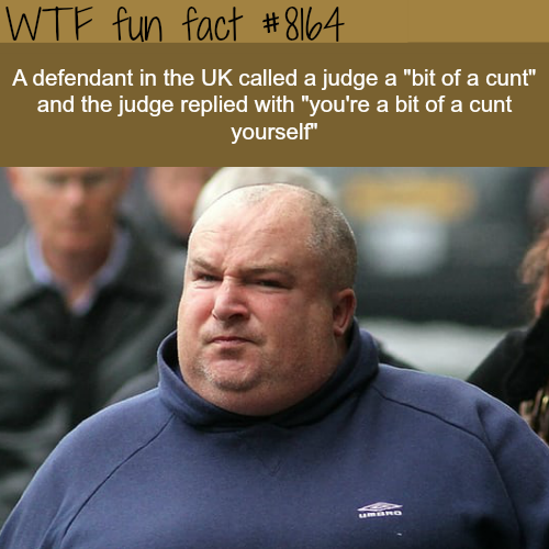 tumblr_ozxpybx8M61roqv59o1_500.png