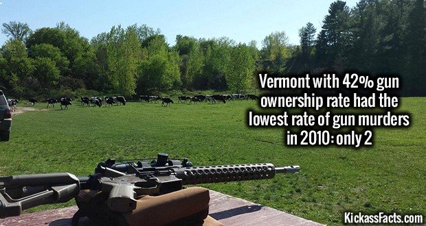 1267-Vermont-Gun-Shooting.jpg
